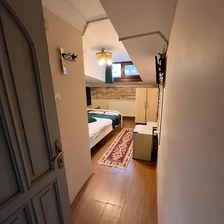 公寓式酒店 Miray Apart Sultanahmet